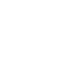 plugins puzzle icon
