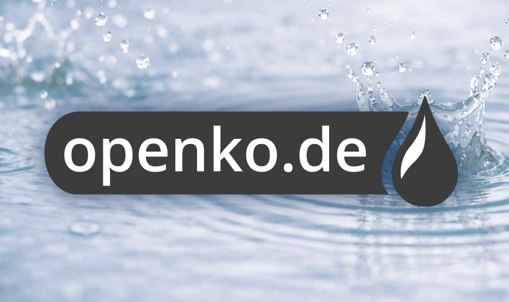Free KOSTRA Data on openko.de